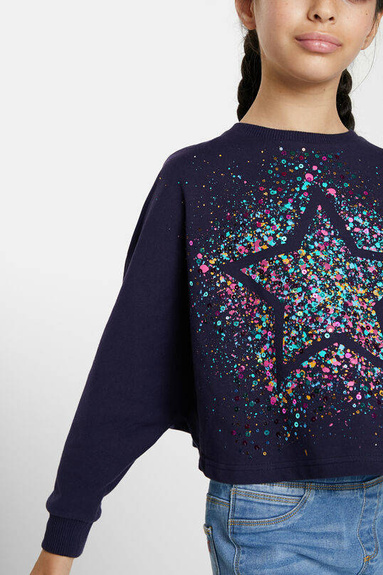 Толстовка Desigual Star