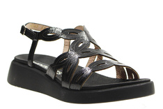 Sandals Wonders C-6542
