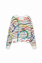 светр Desigual 24SWJF46