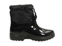 Kalosze Scholl New Vestmann Low