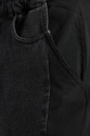 Штани Desigual TWIST