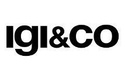 кросівки Igi&co 71563/55